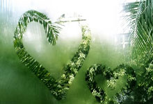 开云体育-当德甲霸主遇上紫金王朝：曼城“登顶湖人”背后的体育资本迷局