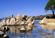 开云平台-当紫金军团遇上日耳曼战车：一场改写体育商业版图的跨界烽烟