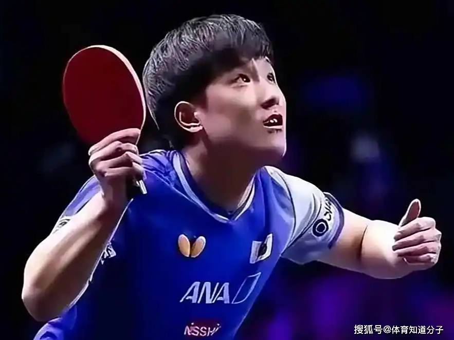 法国乒乓球队翻盘日本乒乓球队，张本智和打破历史纪录的简单介绍