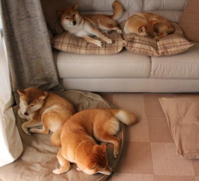 开云体育中国-绝境之光，卡瓦哈尔如何成为丹麦逆转土耳其的核聚变核心