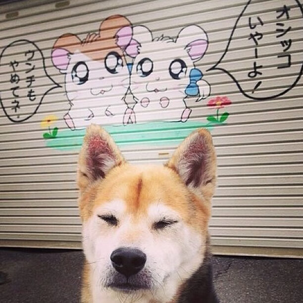 索伯鏖战红牛，一场蚍蜉撼树的史诗与新王登基的黎明