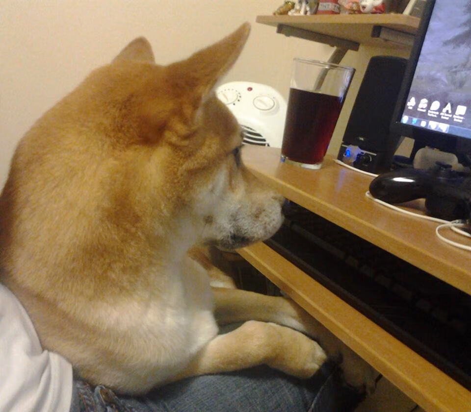 友谊赛再现璀璨光芒,蒂亚戈导演进攻,莱比锡红牛3-1力克玻利维亚国家队