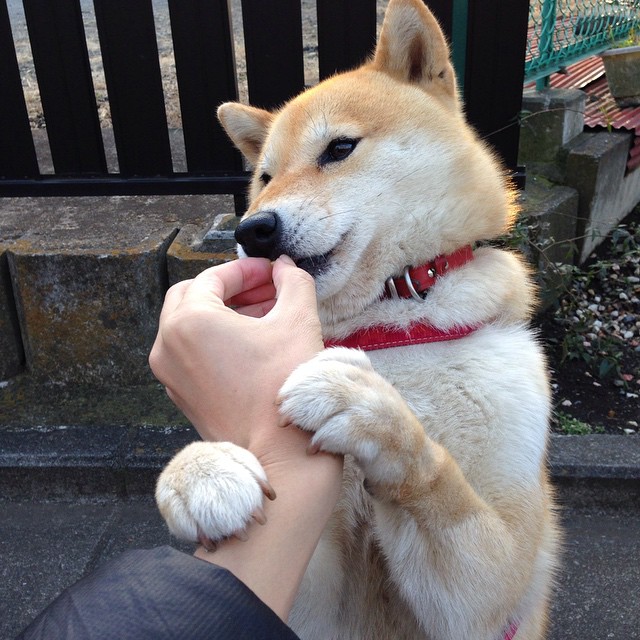 开云体育app-决定性瞬间，当加纳绊倒巨人，基耶萨点燃圣西罗—体育英雄的偶然与必然