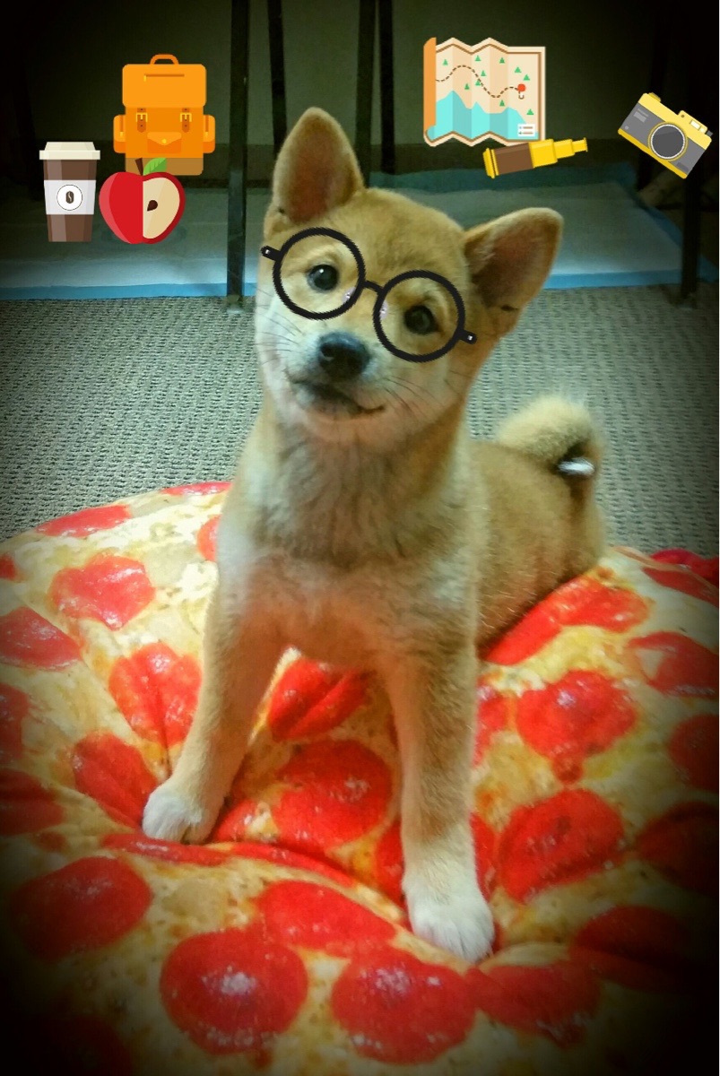 开云体育APP下载-绿茵哲学之战，智利如何用南美本能掀翻马德里竞技的精密机器