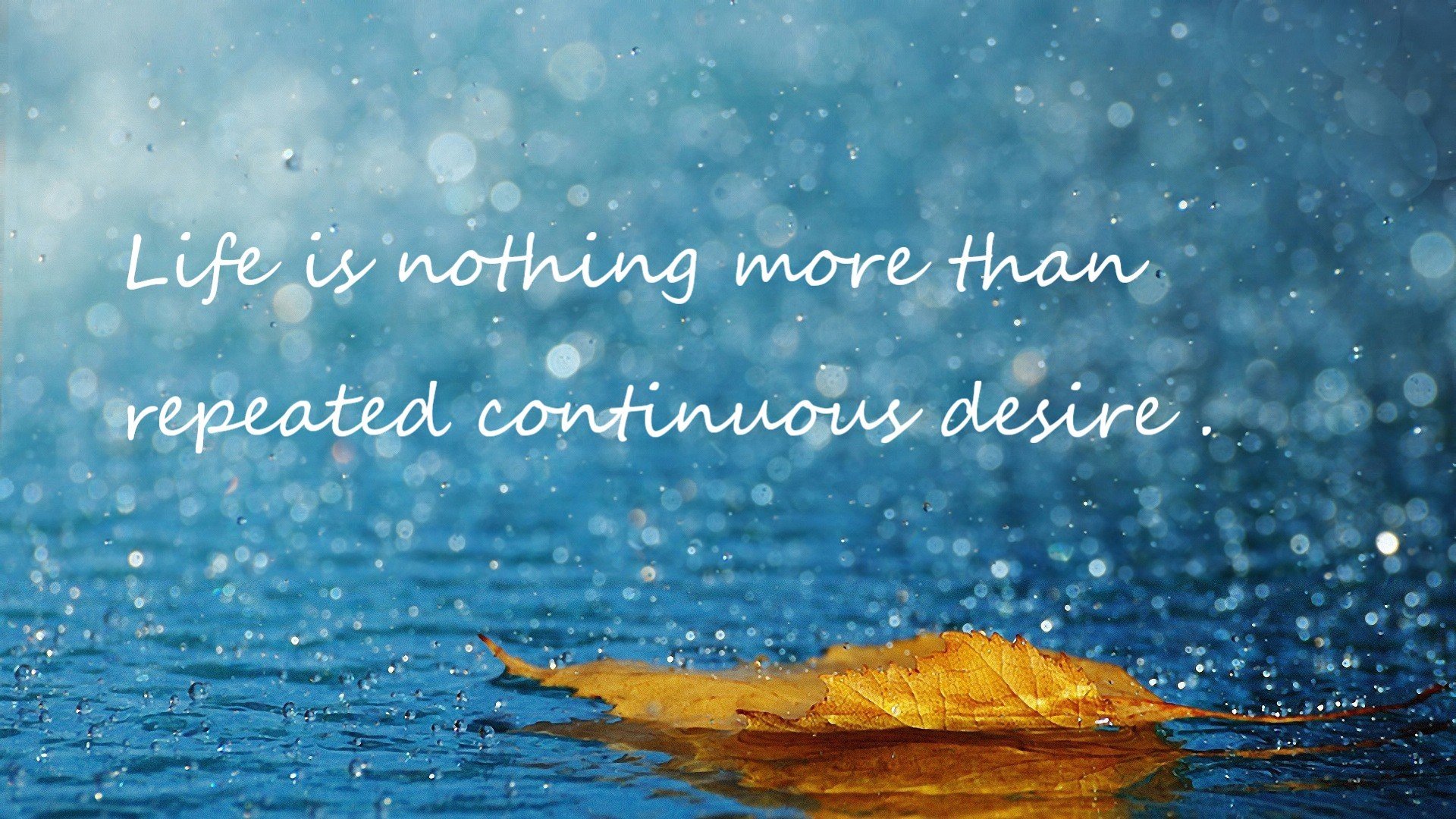 篮网爆冷击穿奇才，布克29+7表现堪称赛场教科书