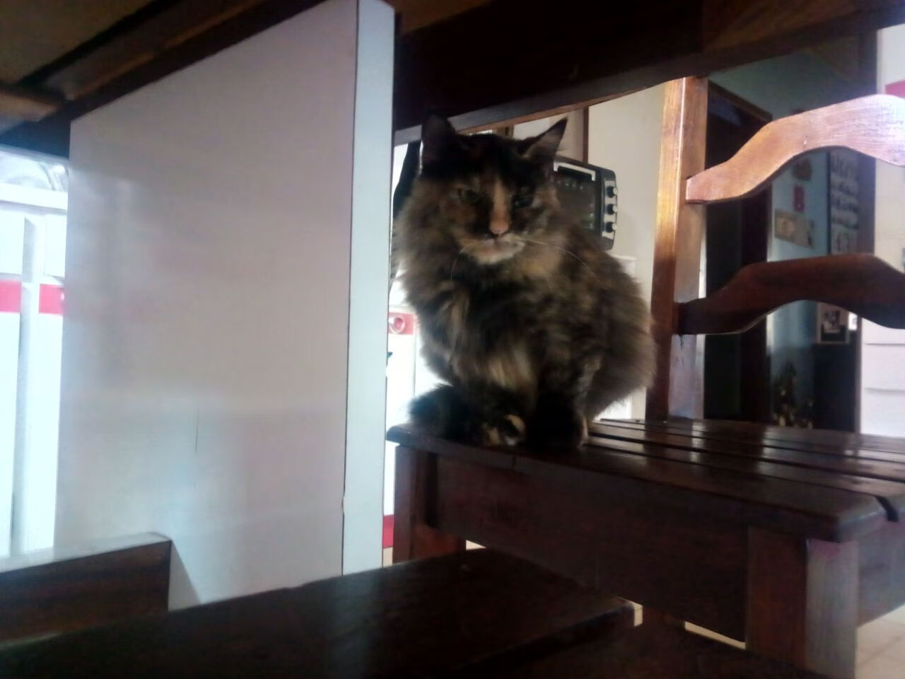 开云体育入口-弑神者与终结者，当杜兰特亲手埋葬广东王朝