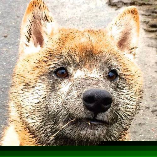 开云体育官网-独此一刻，卡马文加心跳间的王朝序章