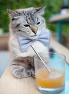 秩序与狂想，从西甲国家德比到秘鲁逆转苏格兰的足球哲学