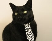 开云sport-速度与激情的双重奏，F1新赛季揭幕战焦点战与灰熊速胜广厦队的体育盛宴