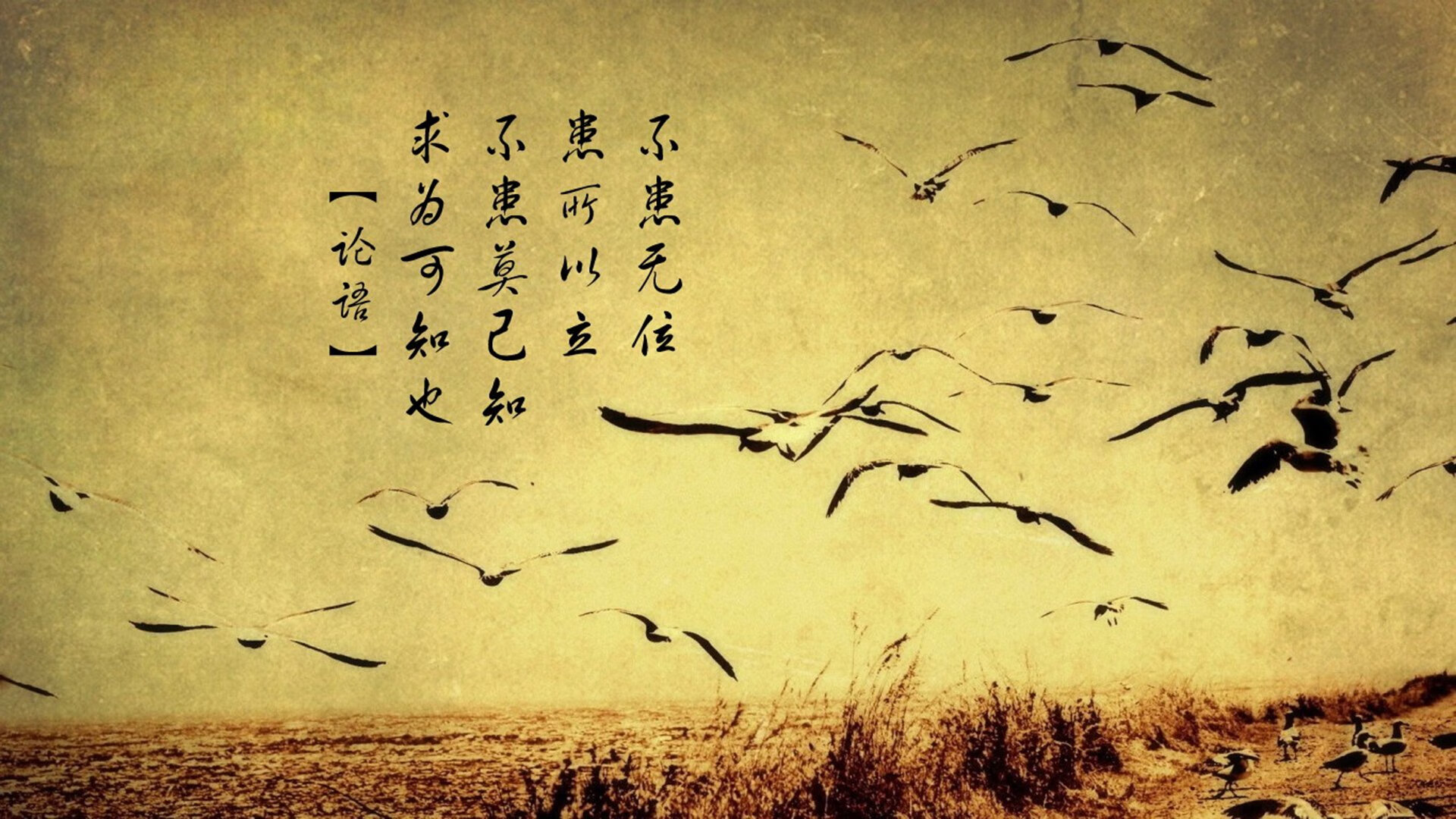 开云体育入口-霓虹之光闪耀圣西罗，三笘薰主导AC米兰欧冠赛场速胜尼斯