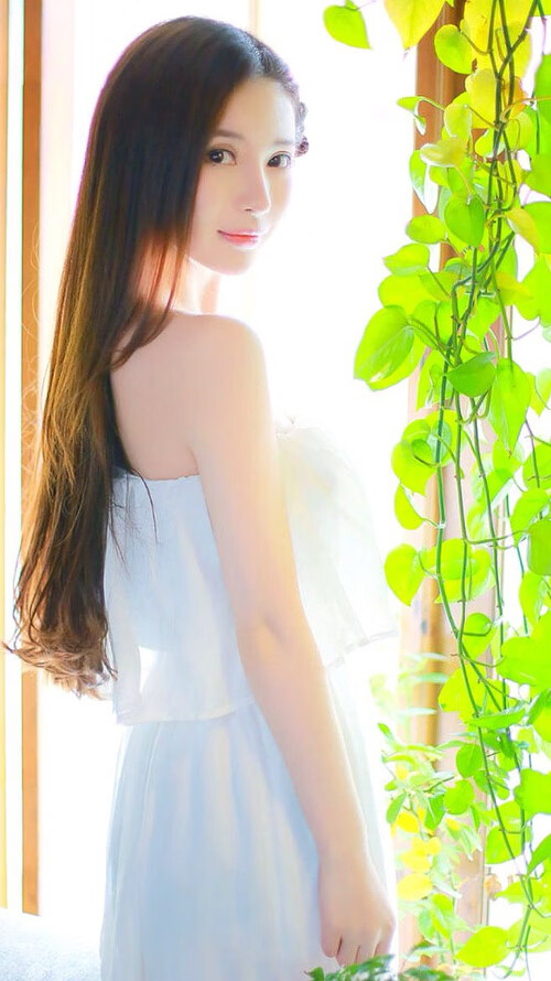 跨界风暴,黄蜂粉碎辽宁队,杰伦格林F1争冠接管比赛