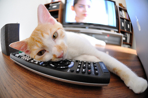 北欧童话的另一种讲述,当阿拉巴的弧线划破阿姆斯特丹的黄昏