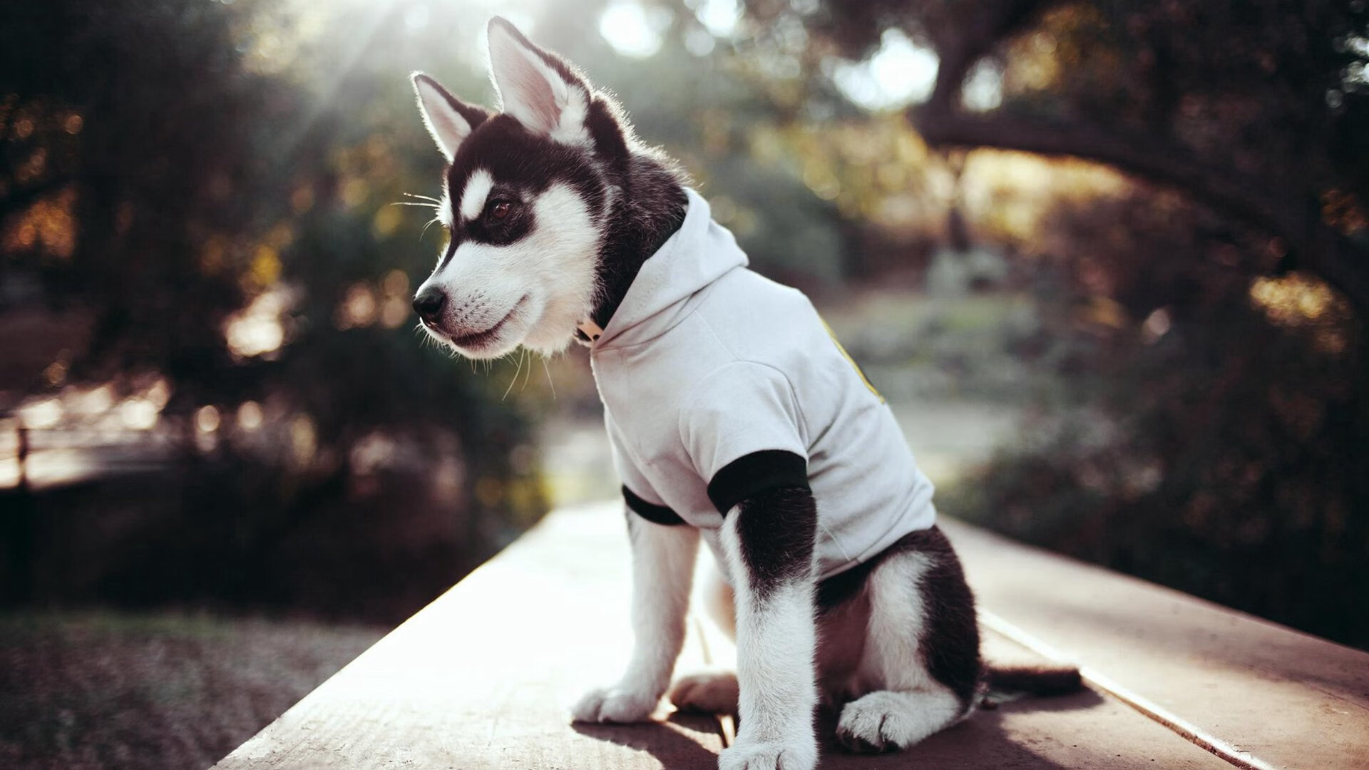 开云体育中国-绿茵双城记，拉什福德破茧成蝶，哥斯达黎加黑马奔腾