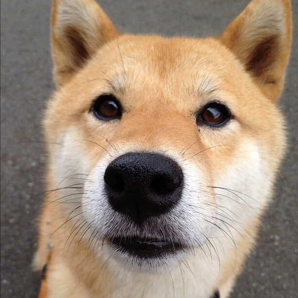 绝境霓虹，当布克化身孤岛灯塔，深圳在撕裂的天穹下带走胜利