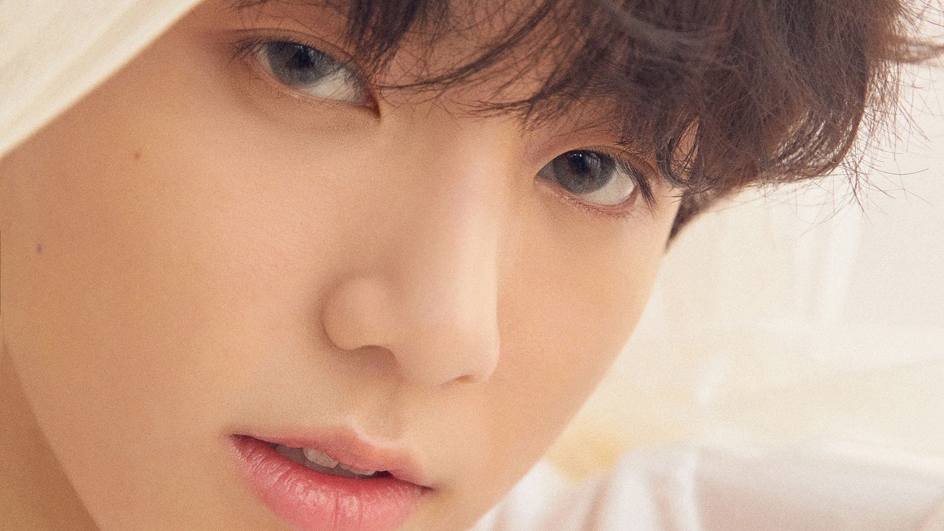 虚拟与现实的交响，爱尔兰鏖战德国的欧冠决赛焦点战