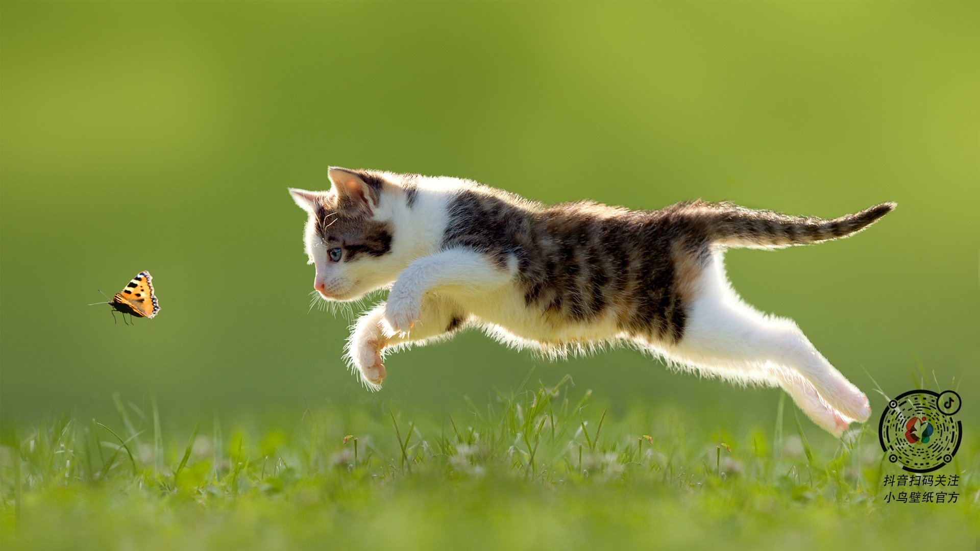 欧冠决赛的唯一悖论，当AC米兰在1994年淘汰了巴西足球的灵魂